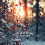 Carolyn Stepp - Facebook
