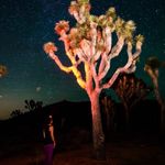 Carolyn Stepp Borst - @carolynestepp - Instagram