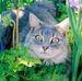Carolyn Stratton - Facebook