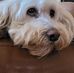 Carolyn Stratton - Facebook