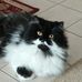 Carolyn Stratton - Facebook