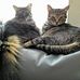 Carolyn Stratton Sesco - Facebook