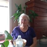 Carolyn Strunk - @strunk5709 - Instagram