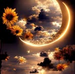 Carolyn Sutton - Facebook