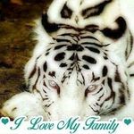 Carolyn Sutton - @carolyn.sutton.988 - Instagram