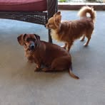 Carolyn Sutton - Facebook