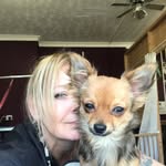 Carolyn Sutton - @wash_and_wag_dog_grooming - Instagram