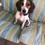 Carolyn Munt Thacker - @carolynmuntthacker - Instagram
