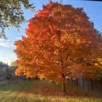 Carolyn Thacker - @hoosierlady31 - Instagram