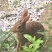 Carolyn Thacker - Facebook