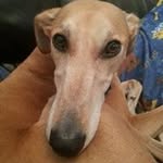 Carolyn Watson - @carolyn.watson7 - Instagram