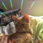 Carolyn Watson - @carolynwatson67 - Instagram