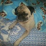 Carolyn Watson - @carolyn.watson.1042 - Instagram