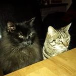 Caron Thomas - @caronclark45 - Instagram