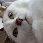 Thomas  Caron - @caron.thomas - Instagram