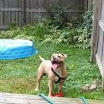 Caron Williams - @caron4660 - Instagram