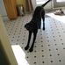 Carrie Allan - Facebook