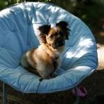 Carrie Andersen - @carebear101960 - Instagram