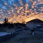 Carrie Andrews - Facebook