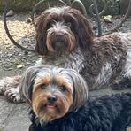 Karrie Ashurst Bevis - Facebook