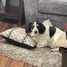 Carrie Atchison - Facebook