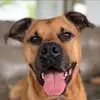 carrieayers - @carrieayers - TikTok