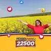 Cari Bachmann - @caribachmann - TikTok