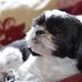 Carrie Backus - Facebook