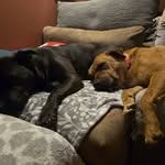 Carrie Bachle Dunaway - @carrieuzell - Instagram