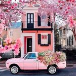 Carrie Barry - @carriebarryctrealtor - Instagram