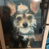 Carrie Bartels820 - @carriebartels - TikTok