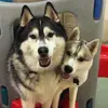 carriebartels10 - @carriebartels10 - TikTok