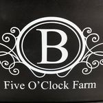 Carrie Bartholomew - @five_oclock_farm - Instagram