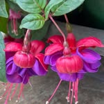 Carrie Lynn Baucom - @therockwatershop - Instagram