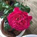 Carrie Bauer - Facebook