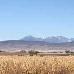 Carrie Bauer - @cornfieldsandmountains - Instagram