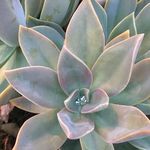 Carrie Bauer - @msbauer6 - Instagram