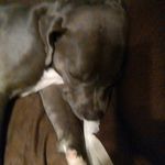 Carrie Bauer - @carrie.bauer.7503 - Instagram