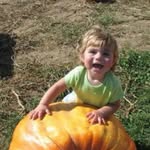 Carrie Baumgardner - @carriebaumgardner61 - Instagram