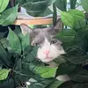 carriebaum49 - @carriebaum49 - TikTok