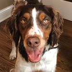 Carrie Baxter - @cabaxter7 - Instagram
