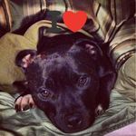 Carrie Baxter Graham - @baxter1774 - Instagram