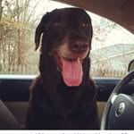 Carrie Beam - @clearlydemented - Instagram