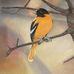 Carrie Beam - Facebook