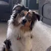 carriebeam28 - @carriebeam28 - TikTok