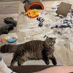Carrie Bear - Facebook