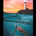 Carrie Beasley - Facebook