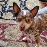 Carrie Beavers Myers - @carrie.beavers.58 - Instagram