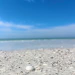 Carrie Becker - @carriebecker27 - Instagram