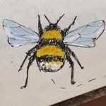 Carrie Bee - @carrie.beebee - Instagram